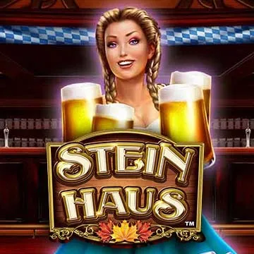 stein haus